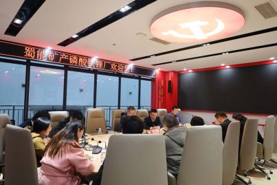 蜀能矿产磷酸铁锂厂召开审厂工作推进会