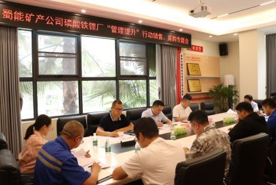 蜀能矿产召开磷酸铁锂厂“管理提升”行动销售、采购专题会