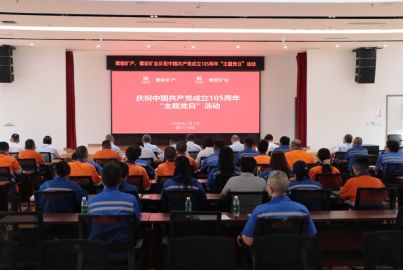 蜀能矿产、蜀宏矿业开展庆祝中国共产党成立105周年主题党日活动