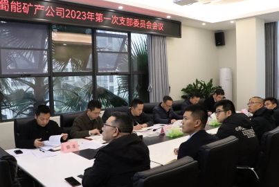 蜀能矿产公司召开 2023年第一次支部委员会会议
