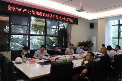 蜀能矿产公司召开磷酸铁锂项目投资分析汇报会