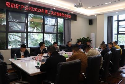 蜀能矿产公司召开2023年 第二次支部委员会会议