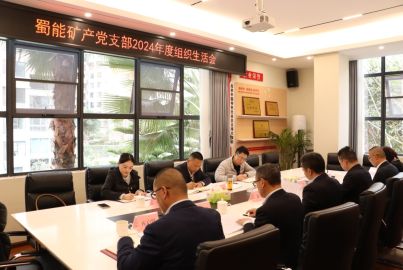 蜀能矿产党支部召开2024年度组织生活会