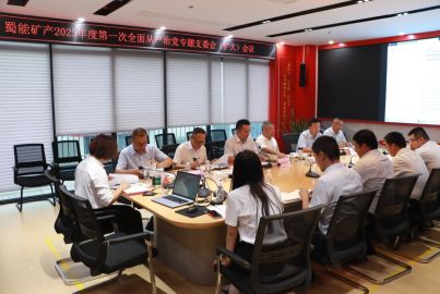 蜀能矿产召开2025年度第一次全面从严治党专题支委会（扩大）会议