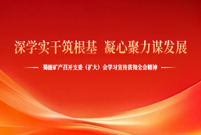 深学实干筑根基 凝心聚力谋发展&mdash;&mdash;蜀能矿产召开支委（扩大）会学习宣传贯彻全会精神